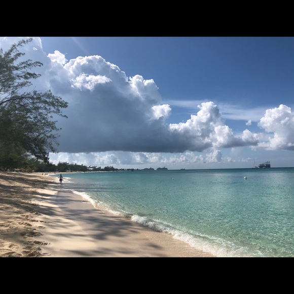 Meet your Posher, Alessia - Picture 1 of 1